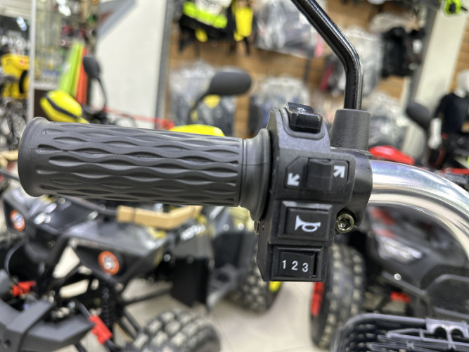 Электровелосипед Motax E-NOT Express Lux в Иркутске