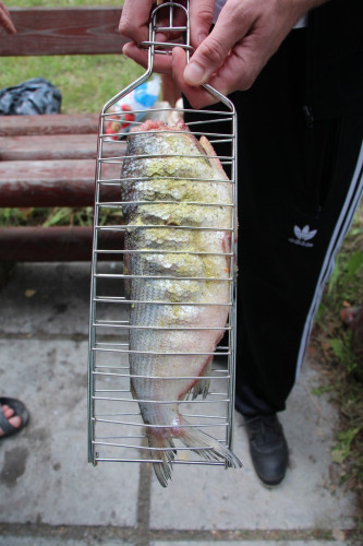 Решетка для рыбы в Иркутске