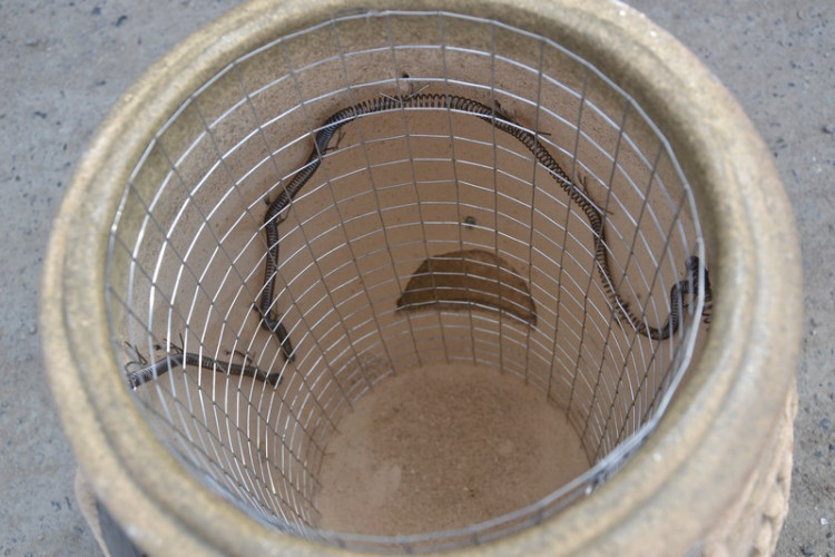 Тандыр Электрический Малый в Иркутске