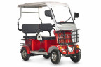 Пассажирский электротрицикл Rutrike Gelbert Hara в Иркутске