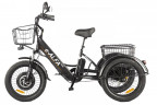 Электрофэтбайк Eltreco Green City e-ALFA Trike в Иркутске