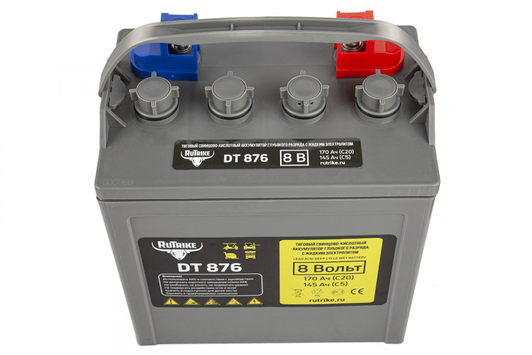 Тяговый аккумулятор RuTrike WET DT876 (T-875) 8V120A/H C3 в Иркутске