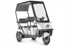 Пассажирский электротрицикл Wanshida NIPLA 500