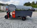 Грузовой электрический трицикл Pаntеrа Гидрaвлика 75V1500W в Иркутске